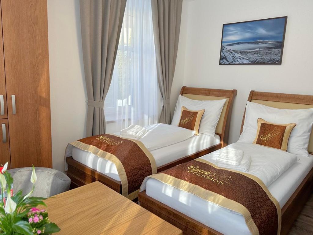 Synek Pension Spindleruv Mlyn Exterior foto